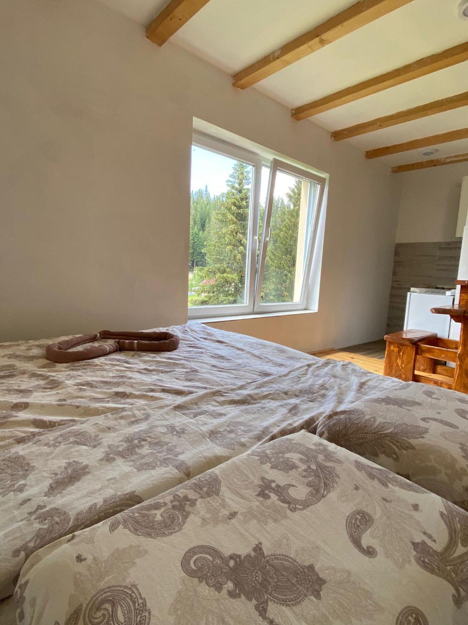 Apartment Durmitor Žabljak Værelse billede