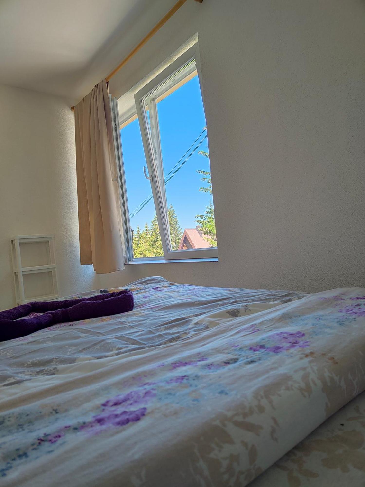 Apartment Durmitor Žabljak Værelse billede