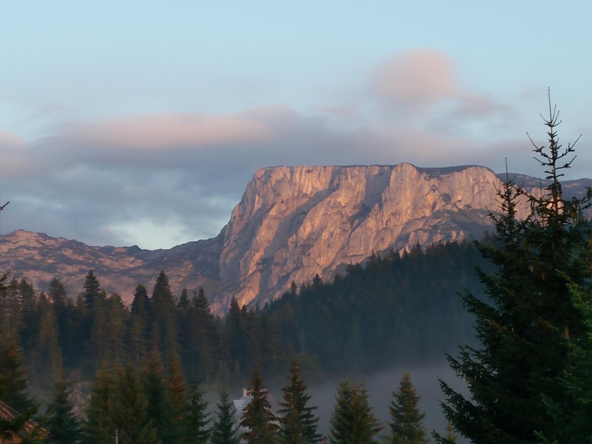 Apartment Durmitor Žabljak Eksteriør billede