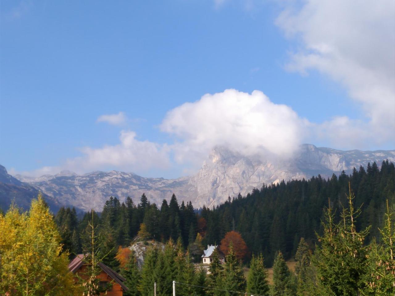 Apartment Durmitor Žabljak Eksteriør billede