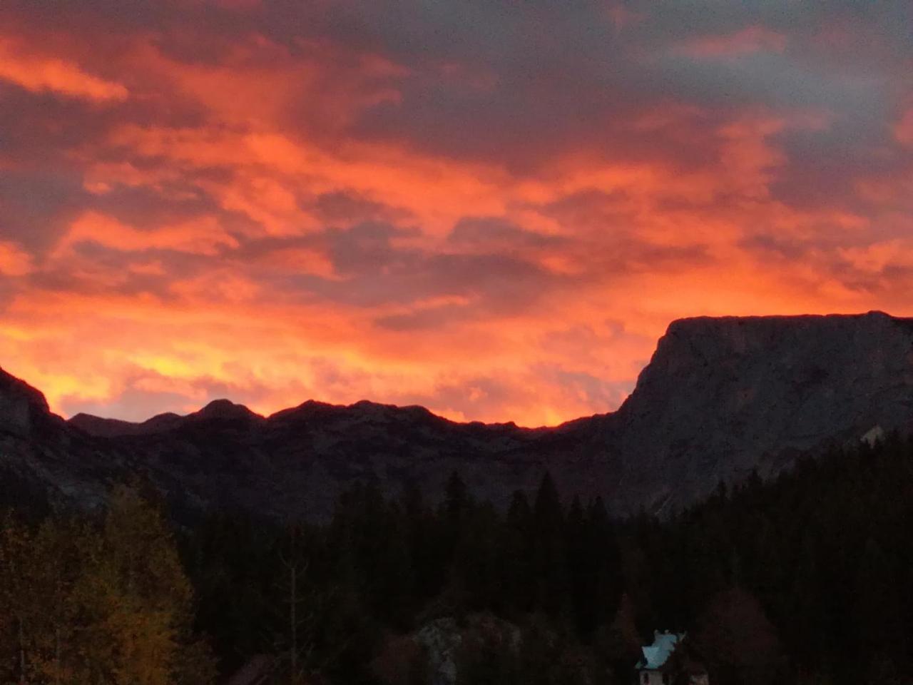 Apartment Durmitor Žabljak Eksteriør billede