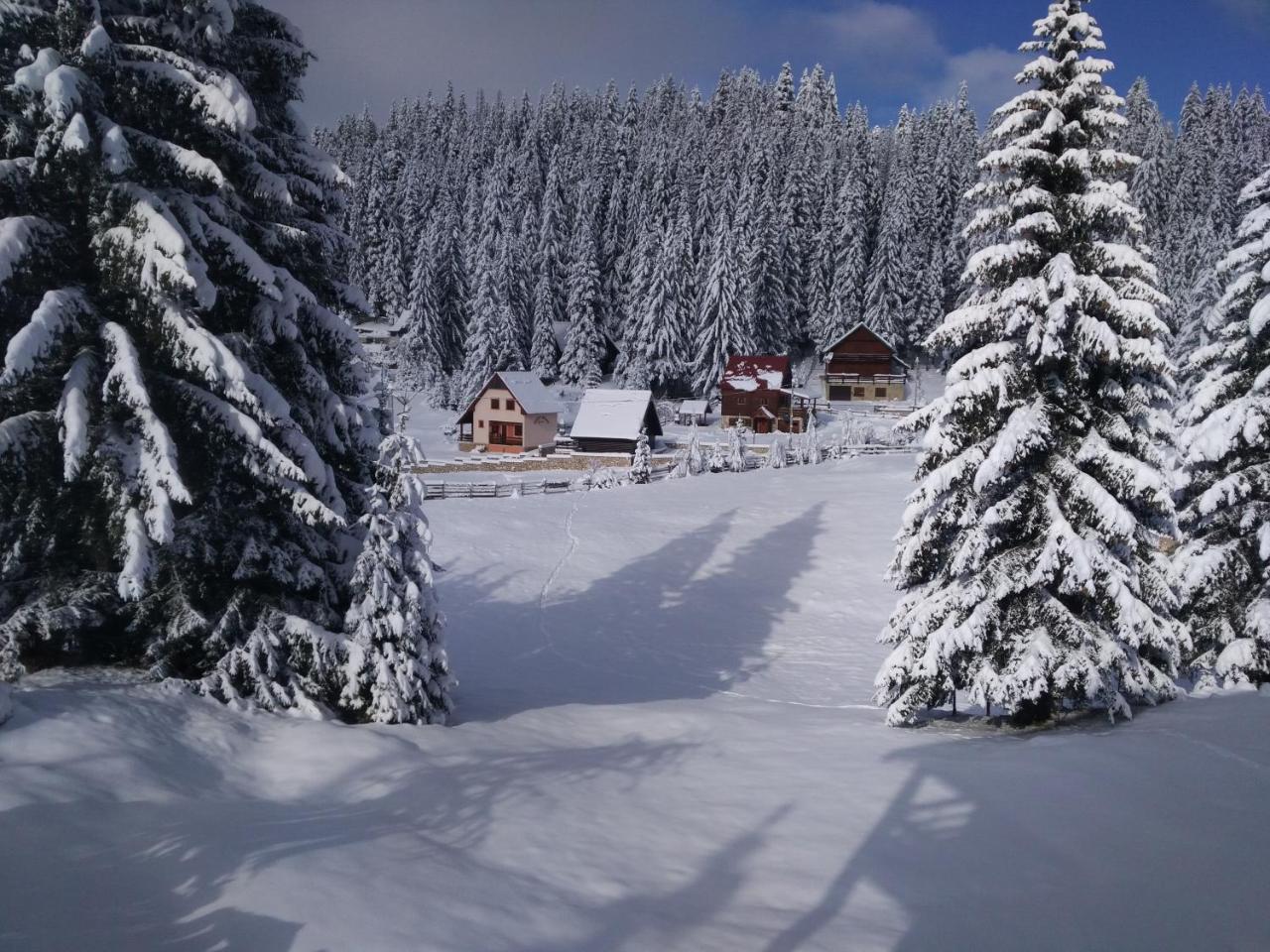 Apartment Durmitor Žabljak Eksteriør billede