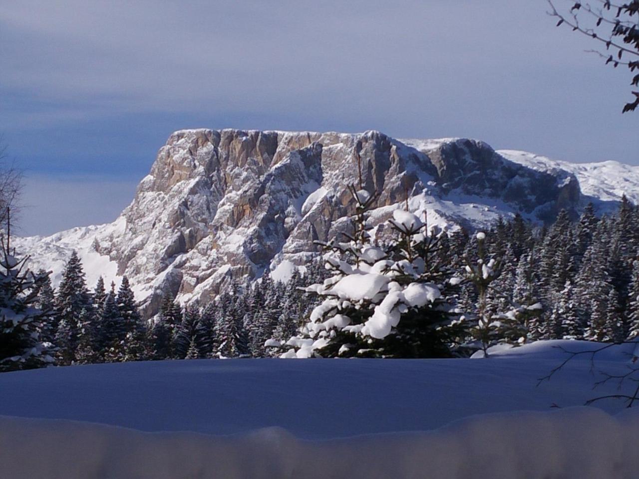 Apartment Durmitor Žabljak Eksteriør billede