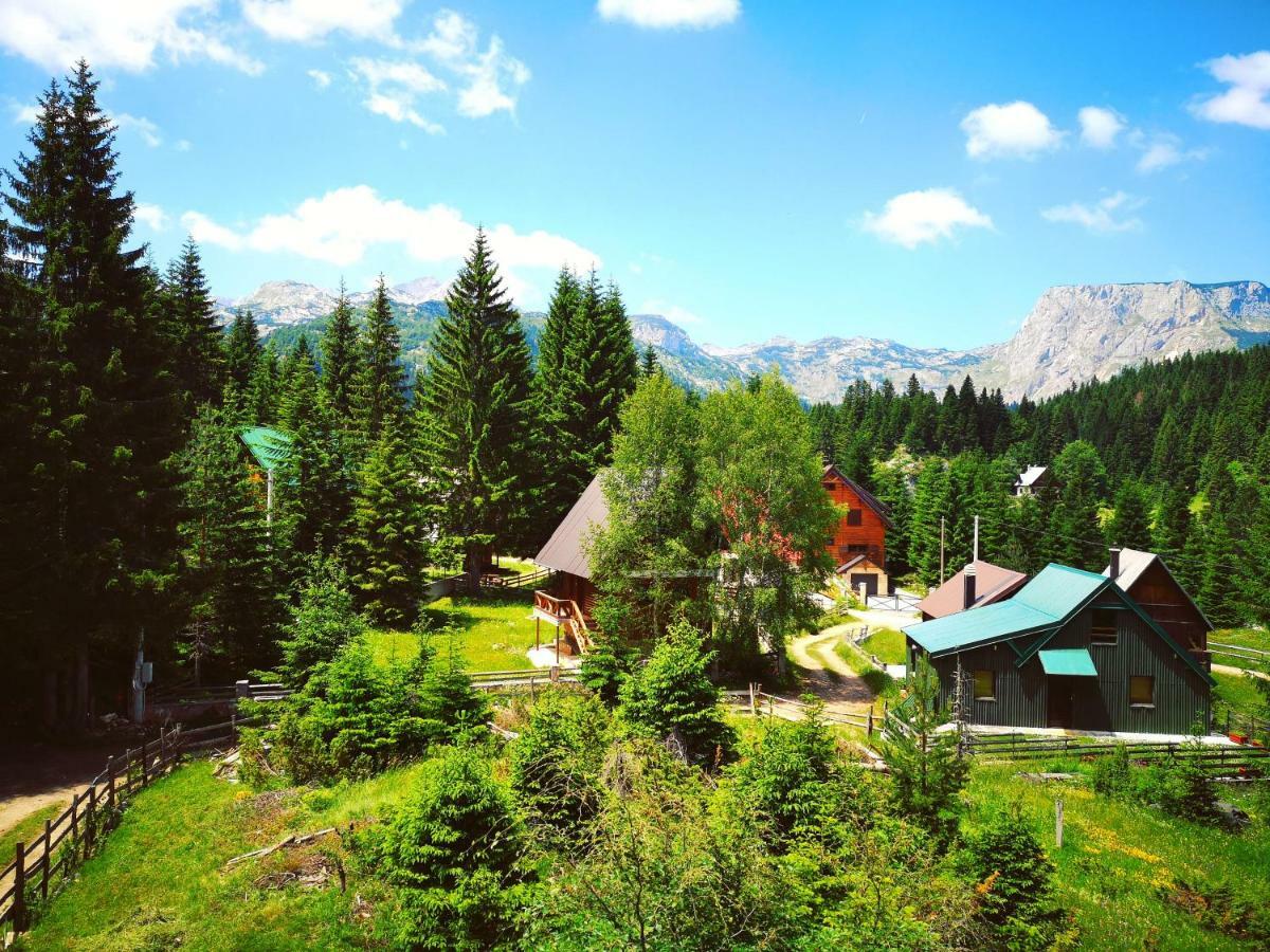 Apartment Durmitor Žabljak Eksteriør billede