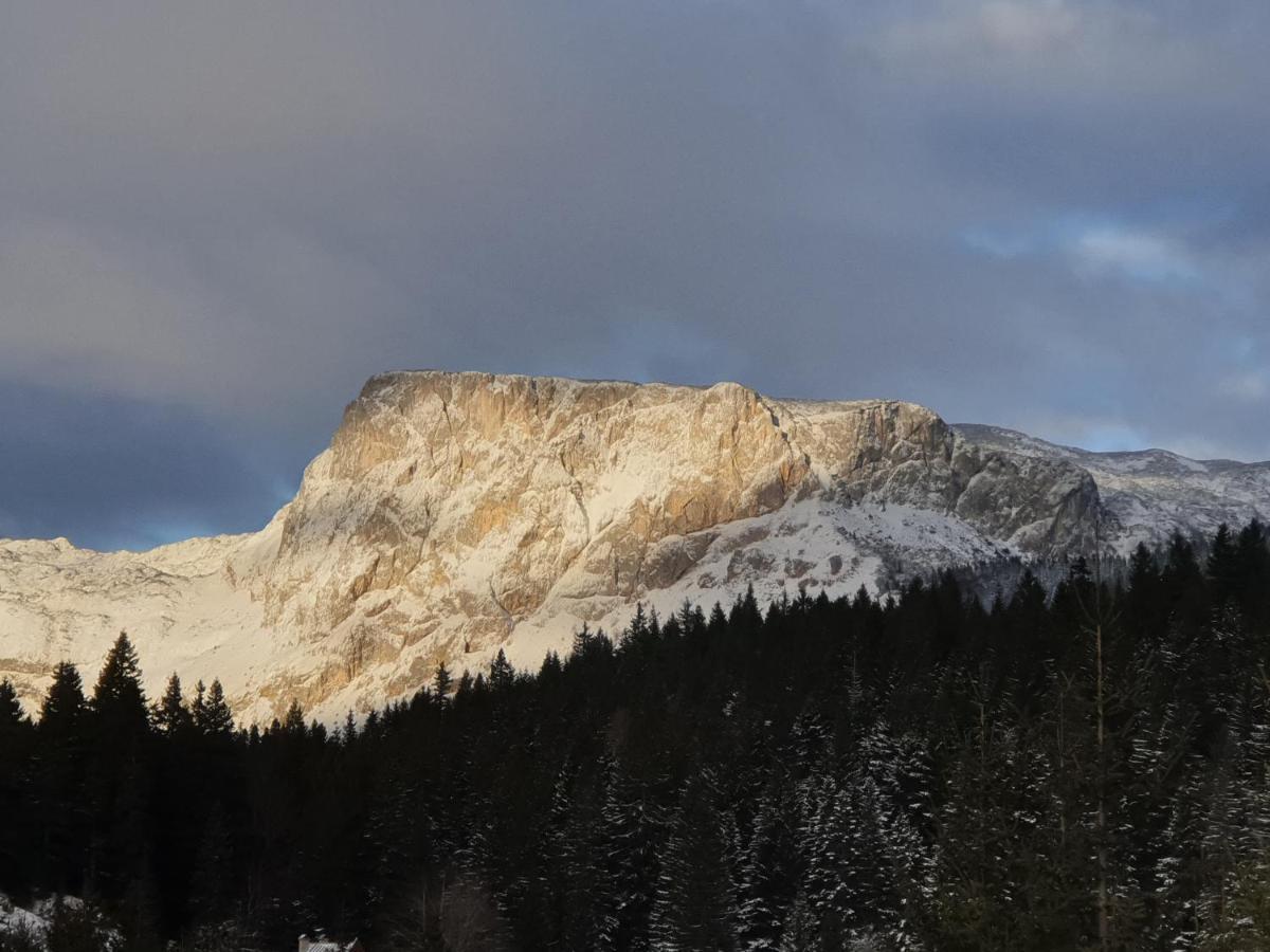 Apartment Durmitor Žabljak Eksteriør billede